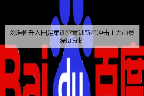 刘浩帆升入国足集训营青训新星冲击主力前景深度分析