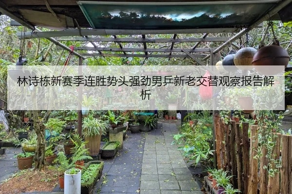 林诗栋新赛季连胜势头强劲男乒新老交替观察报告解析